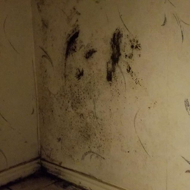 A wall with black spots on it and white paint.